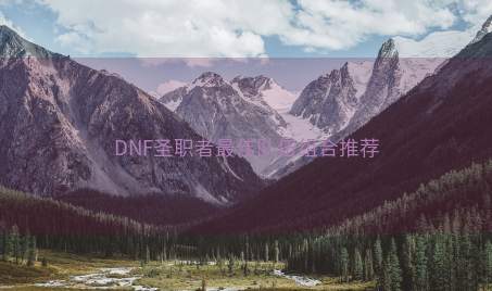 DNF圣职者最佳队伍组合推荐