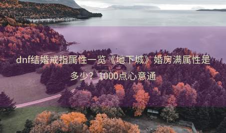 dnf结婚戒指属性一览《地下城》婚房满属性是多少？1000点心意通