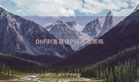 DNF刺客最佳PVE防御策略