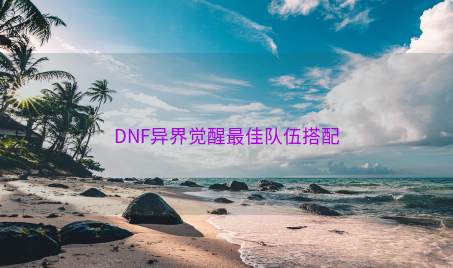 DNF异界觉醒最佳队伍搭配