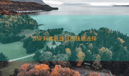 DNF刺客最佳打断技能选择