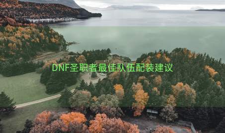 DNF圣职者最佳队伍配装建议