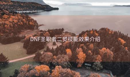 DNF圣职者二觉技能效果介绍