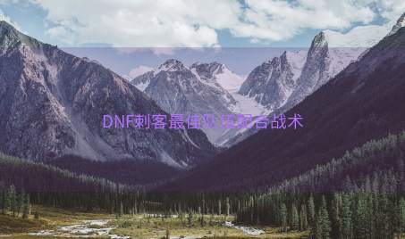 DNF刺客最佳队伍配合战术