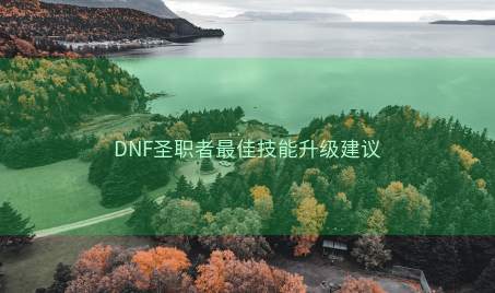 DNF圣职者最佳技能升级建议